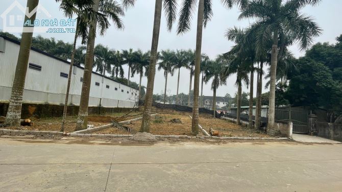 BÁN ĐẤTTRỤC CHÍNH KHOANG MÁI – ĐỒNG TRÚC – LÔ GÓC CONTENER TRÁNH 243M 8MT 7.8 TỶ - 1