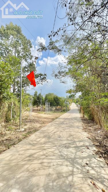 Bán Đất Vườn Xoài Hơn 1,5ha Xã Phú Ngọc, H. Định Quán Chỉ 390tr / Sào - 3