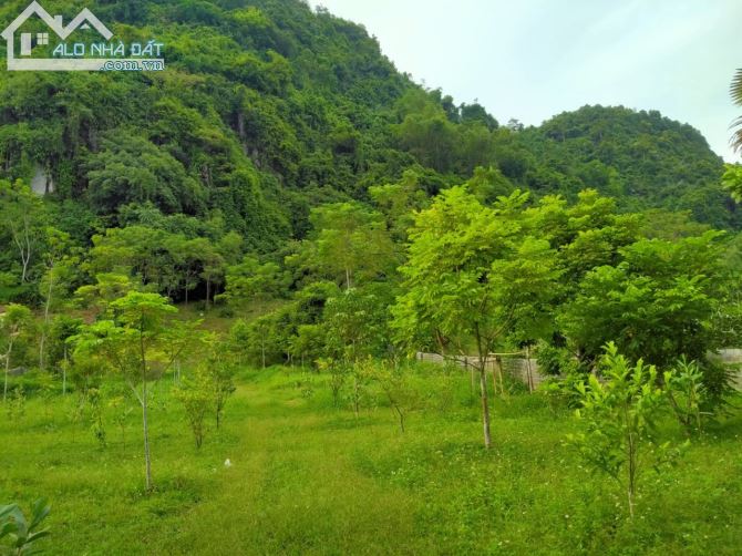 🌹 1440m Lưng Tựa Núi - Đất Bằng Phẳng - Khu Dân Cư Thị Tứ Đông Đúc Giá 2.1 Tỷ 🌹 - 2