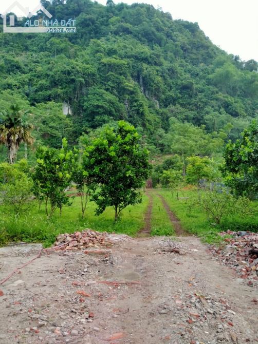 🌹 1440m Lưng Tựa Núi - Đất Bằng Phẳng - Khu Dân Cư Thị Tứ Đông Đúc Giá 2.1 Tỷ 🌹 - 3