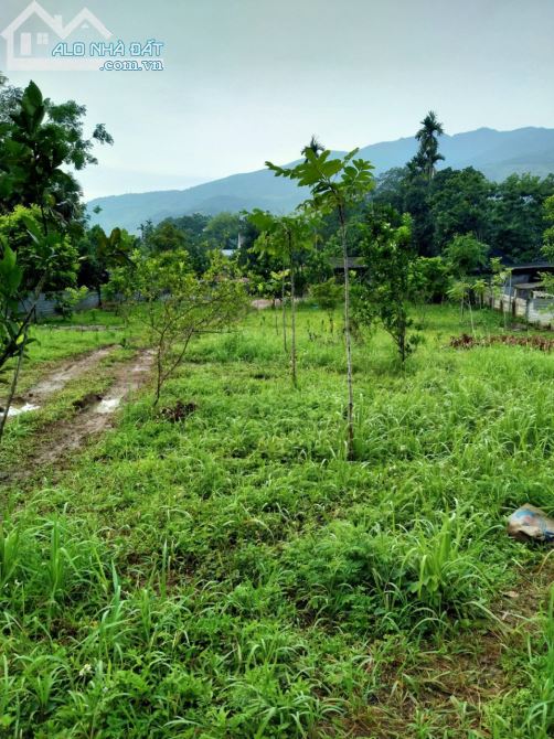 🌹 1440m Lưng Tựa Núi - Đất Bằng Phẳng - Khu Dân Cư Thị Tứ Đông Đúc Giá 2.1 Tỷ 🌹 - 4