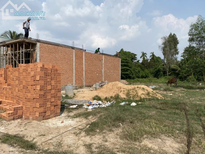 Cần bán lô đất hẻm 1294 lê hồng phong phường phú thọ - 2