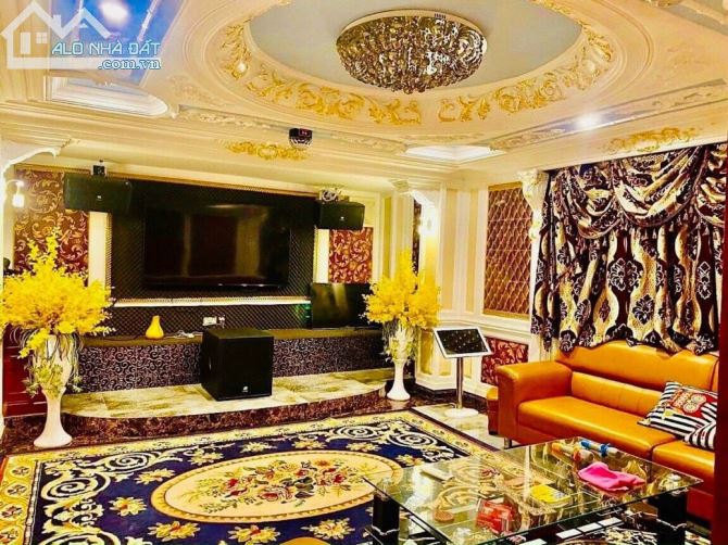 BIỆT THỰ VIP ĐƯỜNG CMT8 NGAY CÔNG VIÊN LÊ THỊ RIÊNG-9,7X30M 3 LẦU THIẾT KẾ TÂN CỔ ĐIỂN - 3