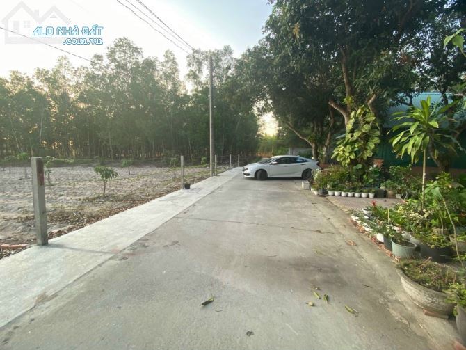 ✨ Diện tích: 10x28M (có sẵn 160M ONT) chia được 2 sổ, đường BÊ TÔNG rộng 4M, KDC -  2,1 TỶ