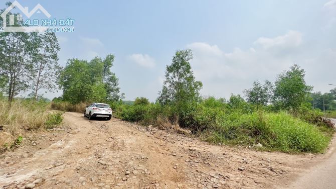 Bán Đất Xã Vĩnh Tân, H. Vĩnh Cửu 4,5 Mẫu Giá 850 Triệu / Sào - 1