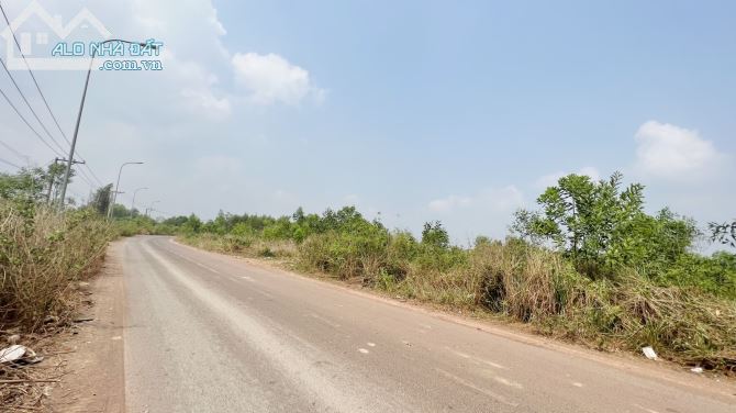 Bán Đất Xã Vĩnh Tân, H. Vĩnh Cửu 4,5 Mẫu Giá 850 Triệu / Sào - 4