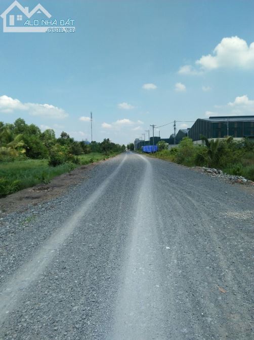 [LONG AN] Đầu tư sinh lời bán đất HXC ĐT 830–X.lương bình–H.bến lức-dt: 5900m²-giá 8 tỷ