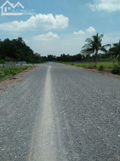 [LONG AN] Đầu tư sinh lời bán đất HXC ĐT 830–X.lương bình–H.bến lức-dt: 5900m²-giá 8 tỷ - 2