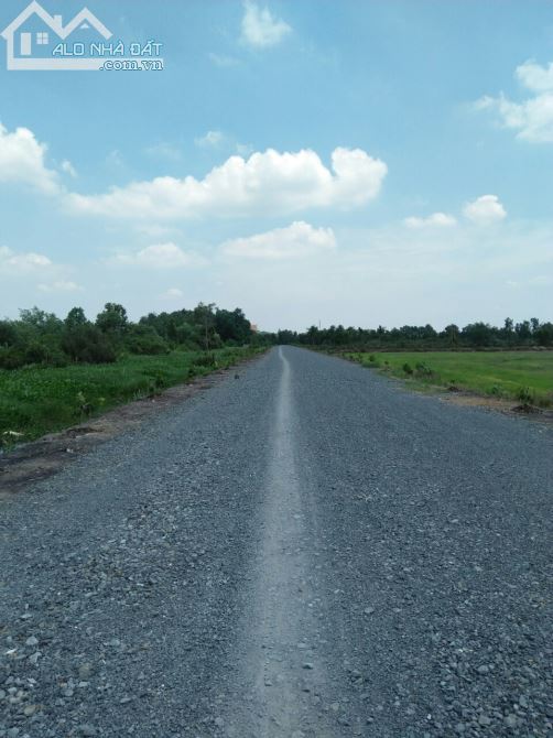 [LONG AN] Đầu tư sinh lời bán đất HXC ĐT 830–X.lương bình–H.bến lức-dt: 5900m²-giá 8 tỷ - 3