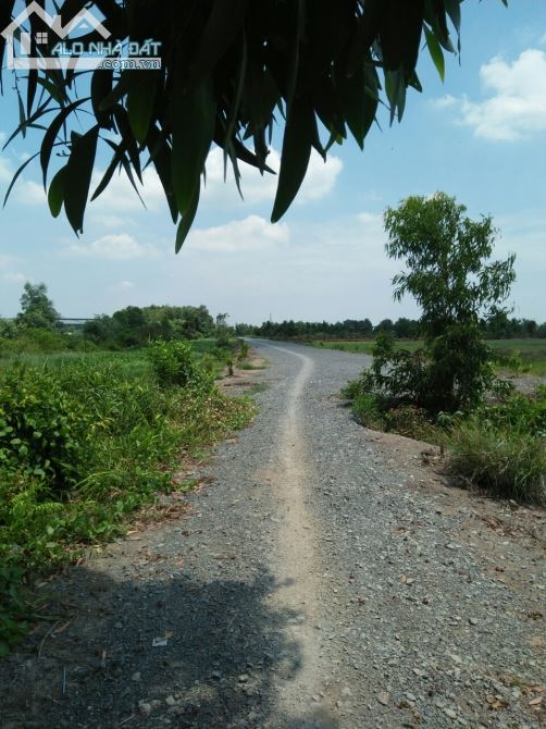 [LONG AN] Đầu tư sinh lời bán đất HXC ĐT 830–X.lương bình–H.bến lức-dt: 5900m²-giá 8 tỷ - 4
