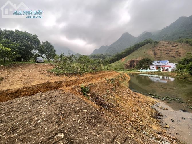 Chỉ 240k/m2 có hơn 800m đất ở vườn cây ăn quả, trong đất có ao, có suối chảy quanh đất - 1