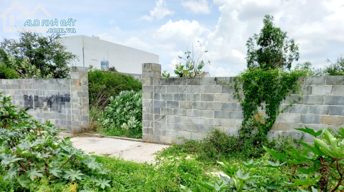 Đại Hạ Giá nhiều đất-KDC Bến Lội.Lại An-Phường Hàm Thắng-Tỉnh Lâm Đồng - 3