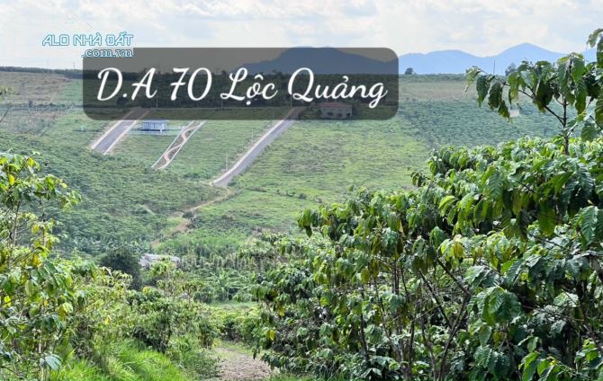 Ngộp bán lỗ cọc gấppp! lô đất Đường 21, Lộc Quảng, Bảo Lâm, Bảo Lộc - 3