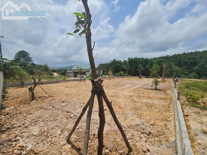 Bán 1014m2 đất mặt tiền Dạ Lê, Phường Thủy Phương, Hương Thủy, Huế. Cách trục đường QL mới - 2
