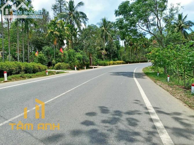 ☀️MẶT TIỀN TỈNH LỘ 16, GIÁ ĐẦU TƯ☀️ HƯƠNG BÌNH , TX HƯƠNG TRÀ ☀️ - 3