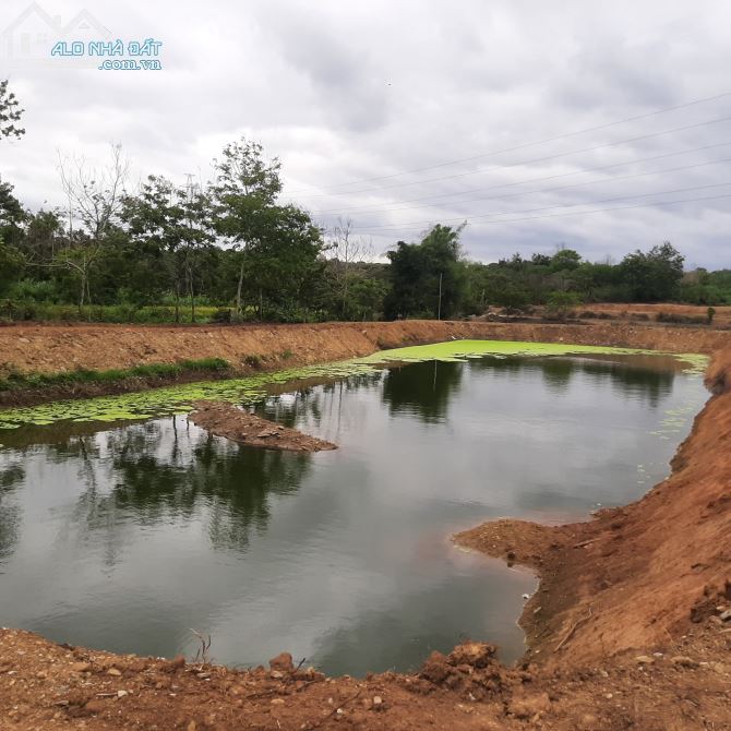 ĐẤT 2 MẶT TIỀN VIEW SUỐI LỚN, XÃ EA NUÔL, BUÔN ĐÔN CÁCH TP BMT CHỈ 12KM