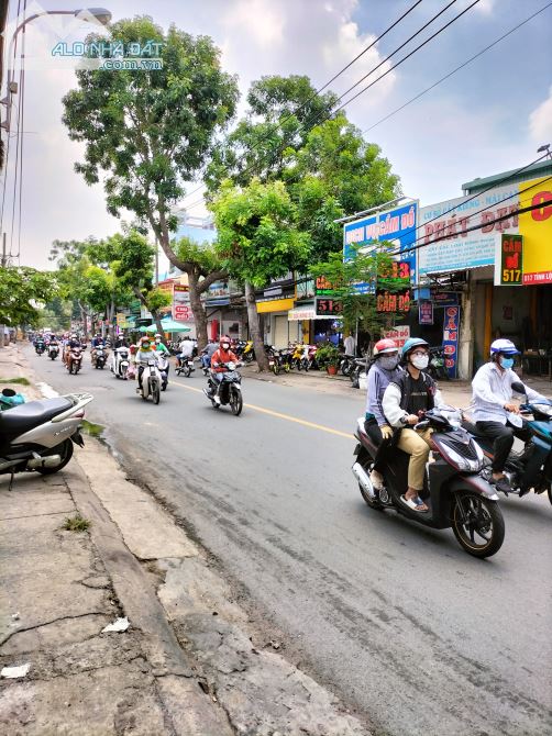 Mặt Tiền Tỉnh Lộ 10 155m2 - Ngang 7m - Kinh Doanh Đa Nghành