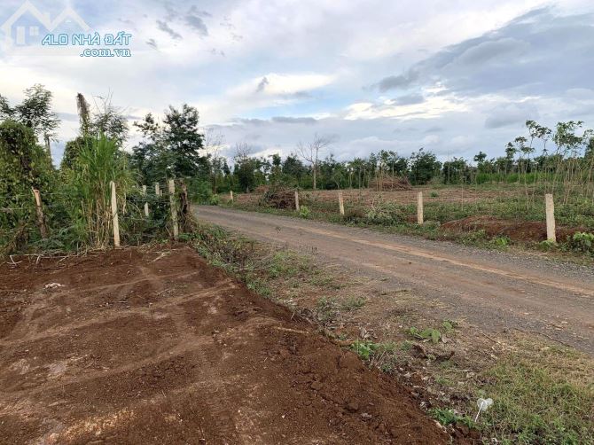 💥Đất Tổng 9,4 sào,hẻm Tỉnh Lộ 5,Phạm Ngũ Lão thôn 4,gần Vành Đai,nhiều lô khác xung quanh