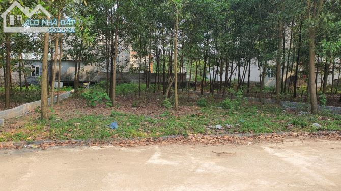 CHỦ CẦN BÁN 340M2 FULL THỔ CƯ ĐẤT TÁI ĐỊNH CƯ NGAY LEGACY HILL - 1