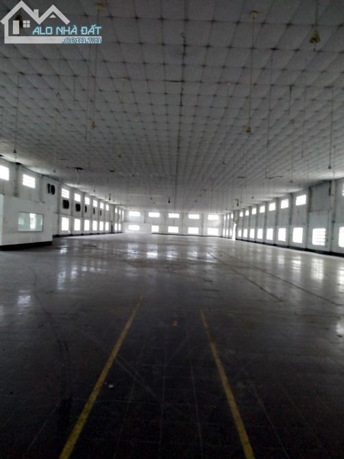 Cho thuê kho xưởng 1500m2, 2700m2, 3500m2 Hương lộ 2, Bình Tân - 2