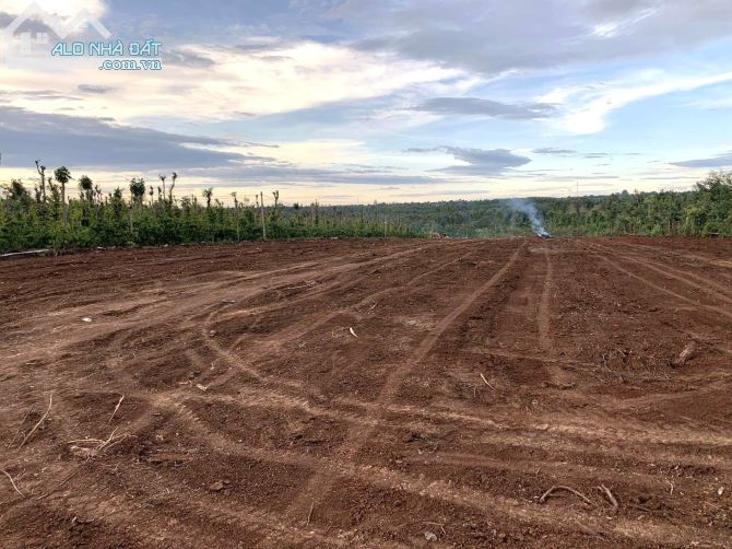 💥Đất Tổng 9,4 sào,hẻm Tỉnh Lộ 5,Phạm Ngũ Lão thôn 4,gần Vành Đai,nhiều lô khác xung quanh - 2