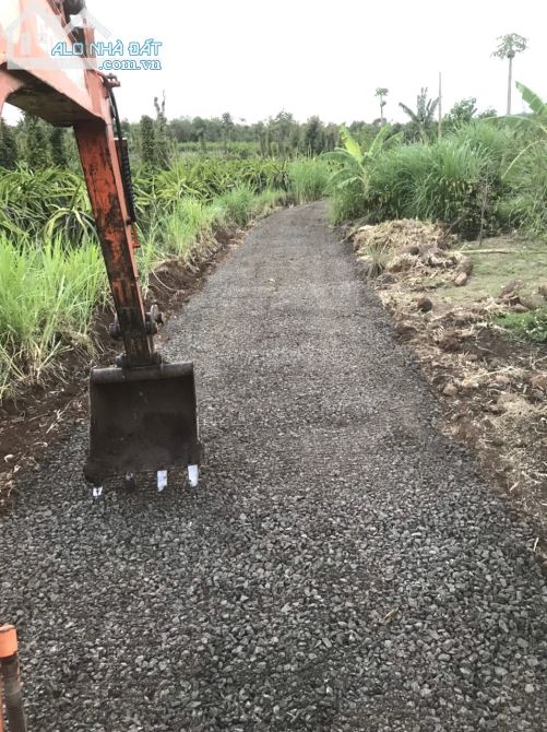 💥Đất Tổng 9,4 sào,hẻm Tỉnh Lộ 5,Phạm Ngũ Lão thôn 4,gần Vành Đai,nhiều lô khác xung quanh - 3