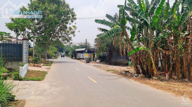 BÁN ĐẤT BIỆT THỰ VƯỜN ĐƯỜNG 36 HÒA LONG BÀ RỊA VŨNG TÀU DT 502m - 1