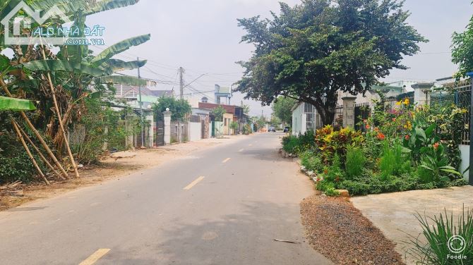 BÁN ĐẤT BIỆT THỰ VƯỜN ĐƯỜNG 36 HÒA LONG BÀ RỊA VŨNG TÀU DT 502m - 2