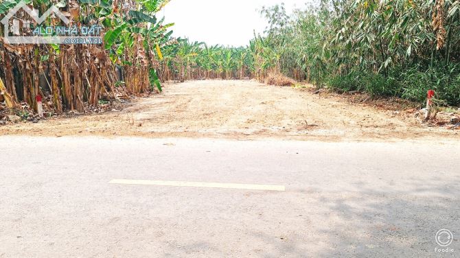BÁN ĐẤT BIỆT THỰ VƯỜN ĐƯỜNG 36 HÒA LONG BÀ RỊA VŨNG TÀU DT 502m - 3