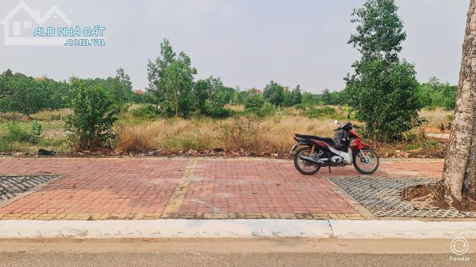 HÀNG HIẾM bán đất THỊ TRẤN LONG ĐIỀN BÀ RỊA VŨNG TÀU dt 100m đương rộng 18m - 3