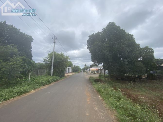 D369 Bán đất thôn 2 xã Cư êbur - TPBMT - 3