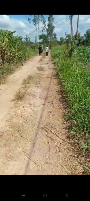 BÁN ĐẤT XUÂN ĐÔNG CẨM MỸ, DT 5000M2 GIÁ 2.35tTR/S, CÓ 300TC  KHU DÂN CƯ ĐÔNG GẦN ĐƯỜNG LỚN - 2