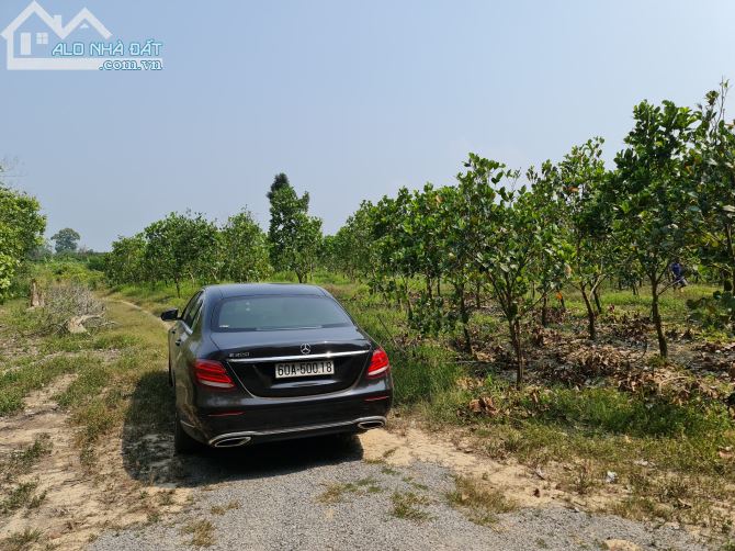 2 lô sổ riêng đường 8m - Giá đầu tư