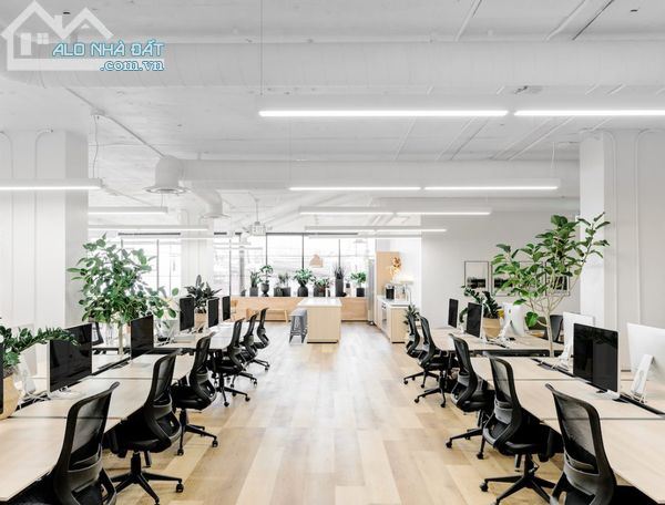 CHO THUÊ tòa nhà văn phòng 06 tầng độc lập 100-120m2 giá chỉ 18 triệu - 3
