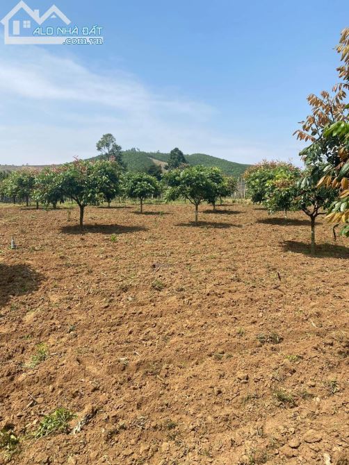 SIÊU PHẨM BÁM SÔNG BÔI 50M GẦN DỰ ÁN SUN GROUP TẠI NUÔNG RĂM KB - 5