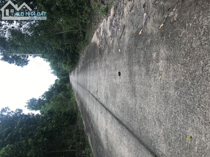 Bán đất phú quốc đường ba trại 100m ngang - 1