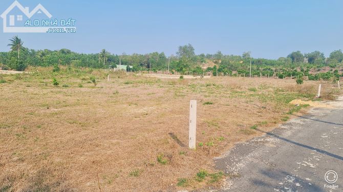 BÁN ĐẤT PHƯỚC HỘI ĐẤT ĐỎ BÀ RỊA VŨNG TÀU DIỆN TÍCH 500m giá 2 tỷ - 1