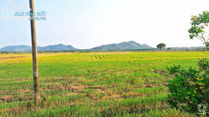 BÁN ĐẤT AN NHỨT LONG ĐIỀN BÀ RỊA VŨNG TÀU DIỆN TÍCH 170m VIEW NÚI, CÁNH ĐỒNG giá 1.85 tỷ - 1