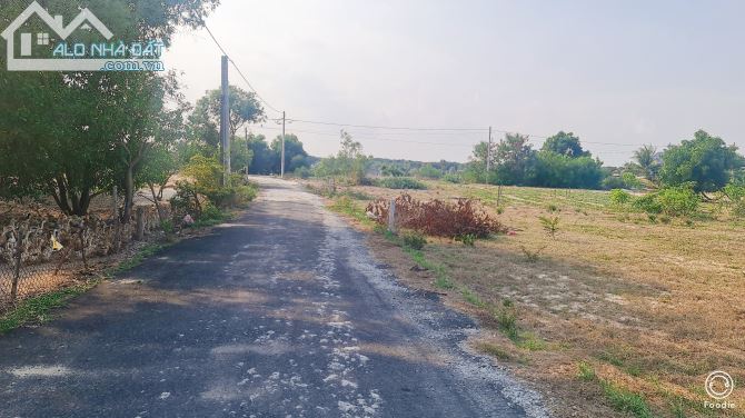 BÁN ĐẤT PHƯỚC HỘI ĐẤT ĐỎ BÀ RỊA VŨNG TÀU DIỆN TÍCH 500m giá 2 tỷ - 2