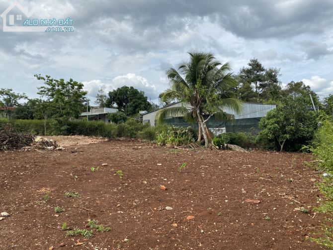 Bán lô đất đẹp tại Hoà Thắng , TP BMT , Đăk Lăk - 2