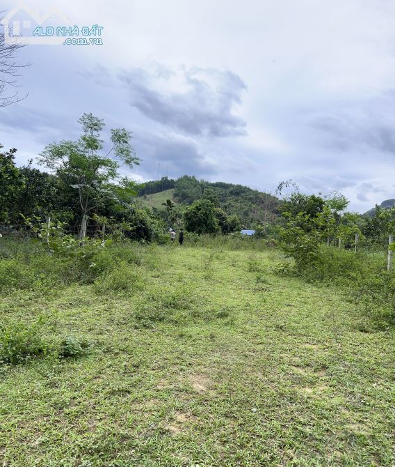 Bán 1000m2 đất thổ cư thị trấn Lương Sơn chỉ hơn 1 tỷ - 1