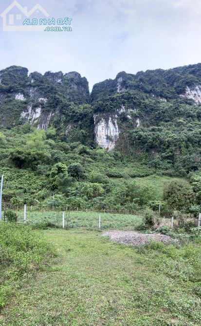 Bán 1000m2 đất thổ cư thị trấn Lương Sơn chỉ hơn 1 tỷ - 3