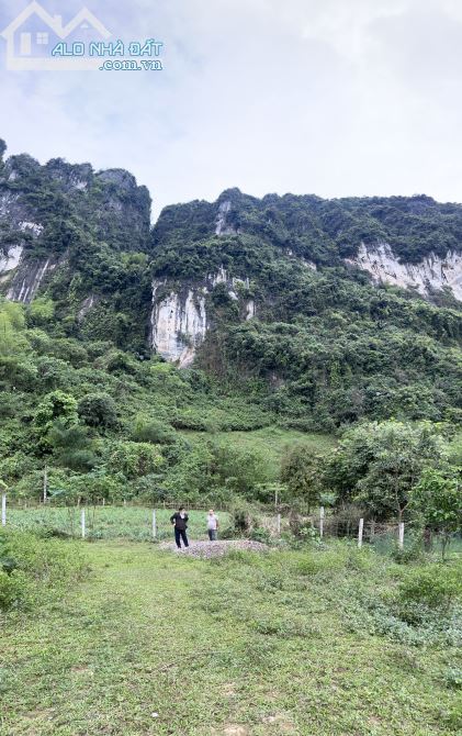 Bán 1000m2 đất thổ cư thị trấn Lương Sơn chỉ hơn 1 tỷ - 4