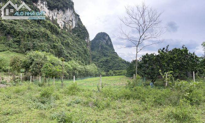 Bán 1000m2 đất thổ cư thị trấn Lương Sơn chỉ hơn 1 tỷ - 5