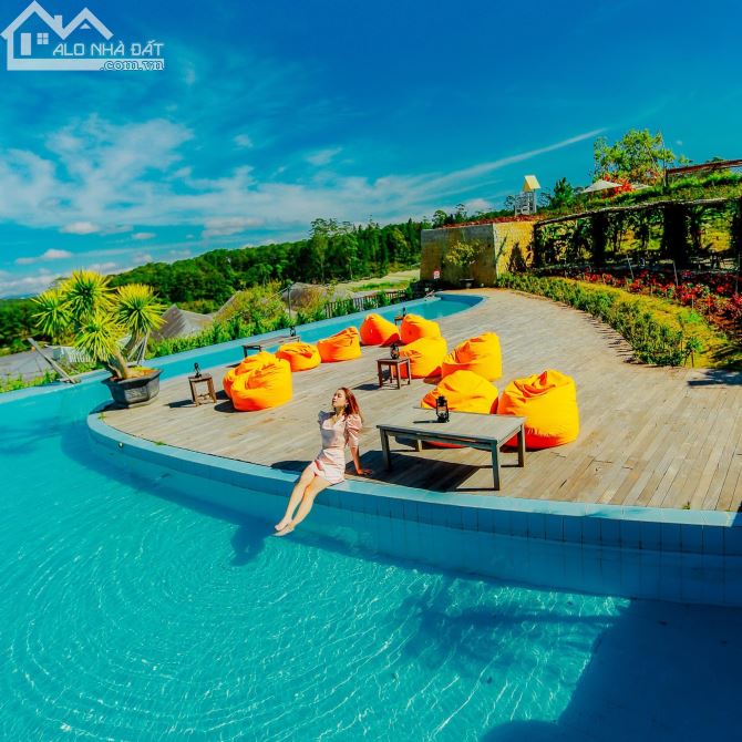 Bán khu du lịch cà phê checkin view tuyệt đỉnh doanh thu cực khủng - 5