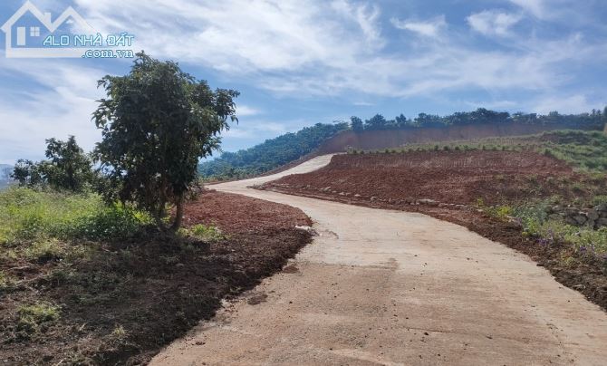 Đất view đẹp thành phố Bảo Lộc làm nhà nghỉ dưỡng thì đẹp tuyệt vời