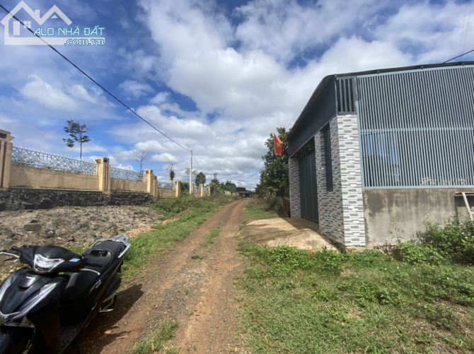 ĐẤT THỔ CƯ GẦN MẶT TIỀN TL5 XÃ CƯ ÊBUR TPBMT GIÁ TỐT ĐỂ ĐẦU TƯ HOẶC ĐỊNH CƯ LÂU DÀI - 3