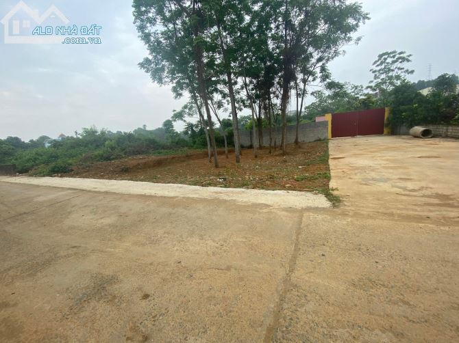 BÁN ĐẤT ĐÔNG YÊN – LÔ GÓC – VỊ TRÍ ĐẸP – RẤT CÓ LỘC 223M 10MT GIÁ 5.2 TỶ - 1