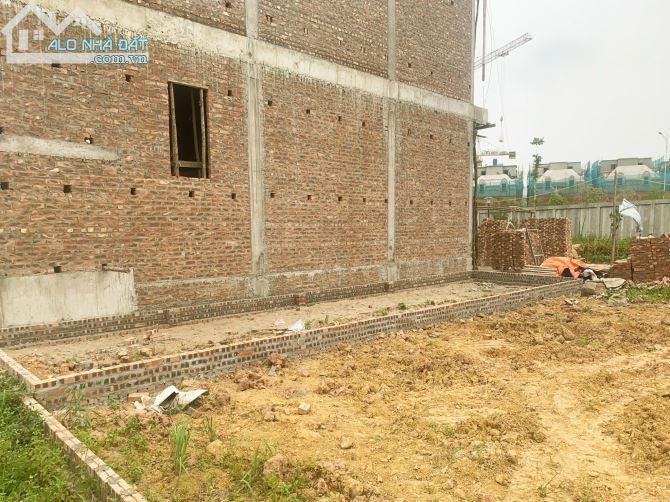 Cần bán lô đất dịch vụ Vân Canh 50m2 siêu phẩm - 3
