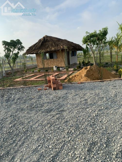 Bán đất Củ Chi, lô đất vườn 1 sẹc ngắn Tỉnh Lộ 7, 1.110m2, xã Trung Lập Hạ. - 1